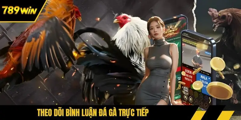 Theo dõi bình luận đá gà trực tiếp