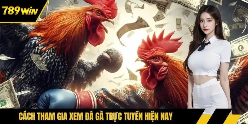 Cách tham gia xem đá gà trực tuyến hiện nay