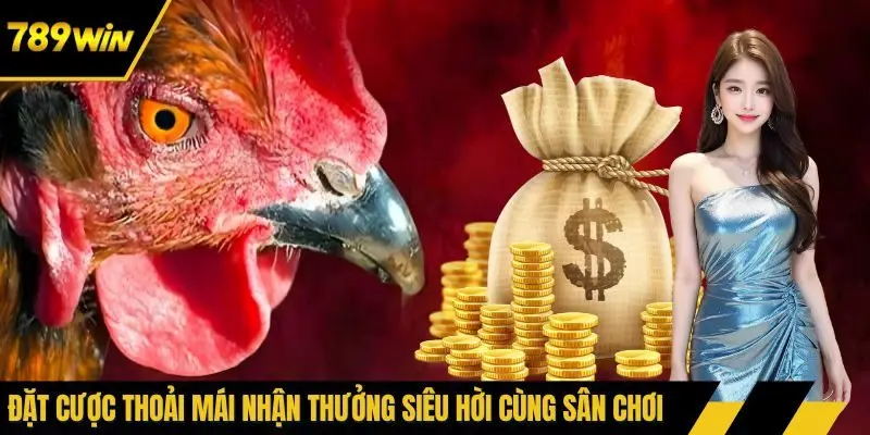 Đặt cược thoải mái nhận thưởng siêu hời cùng sân chơi