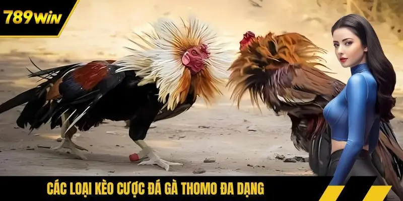 Các loại kèo cược đá gà Thomo đa dạng