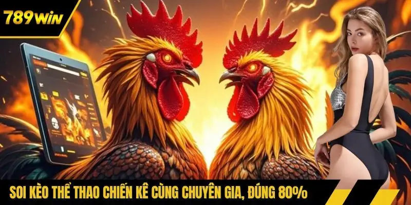 Soi kèo thể thao chiến kê cùng chuyên gia, đúng 80%