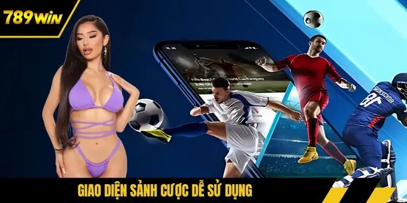 Giao diện sảnh cược dễ sử dụng